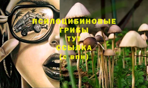 мескалин Алексин