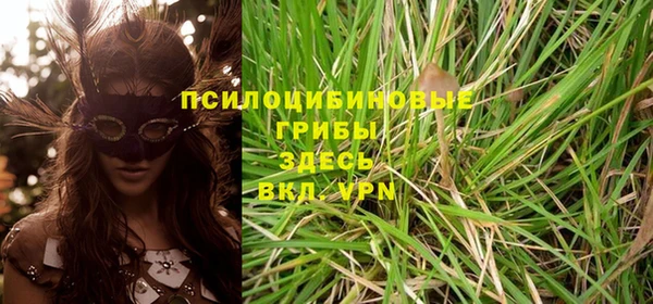 PSILOCYBIN Алзамай