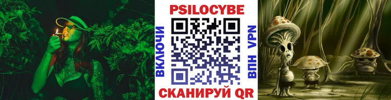 hydra ТОР  Владивосток  Псилоцибиновые грибы ЛСД  цена  