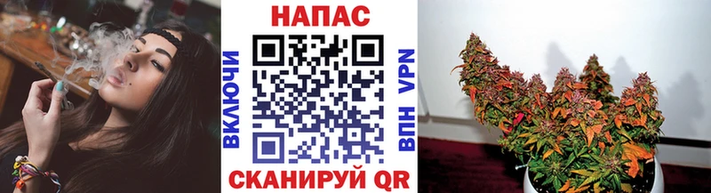 Шишки марихуана марихуана  цены наркотик  OMG как войти  Владивосток 